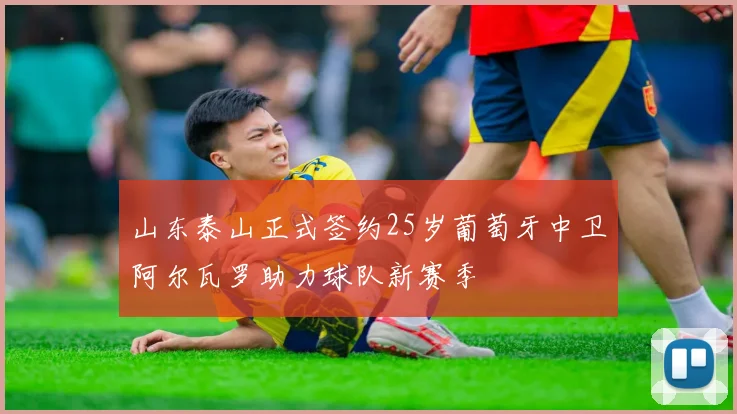 山东泰山正式签约25岁葡萄牙中卫阿尔瓦罗助力球队新赛季