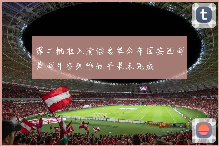 第二批准入清偿名单公布国安西海岸海牛在列唯独平果未完成